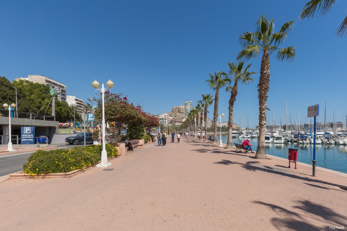 #Alicante is zeker een #perfecte #bestemming 🌞  
Verblijf in dit appartement met zijn 6-en en geniet van een heerlijke #vakantie 🤩

👉 bit.ly/vakantie-in-Al…
