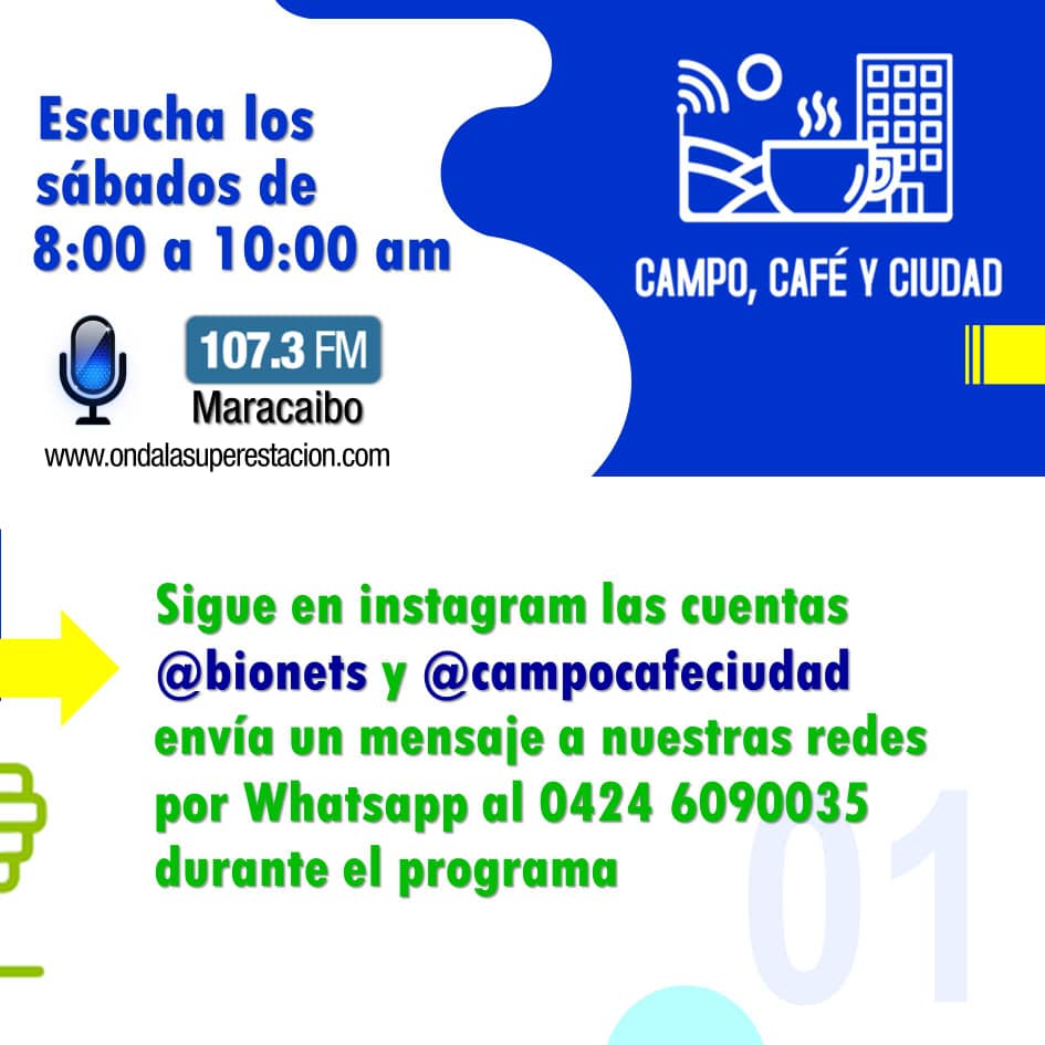 campocafeciudad's tweet photo. Gana cultivando con #BioNets... Envia un mensaje al Whatsapp 04246090035, o escribirnos al seguir nuestras redes en Instagram @bionets y @campocafeciudad durante la transmisión de nuestro programa #CampoCafeCiudad https://t.co/mlvZX8y60W