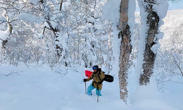BFried9131's tweet photo. Last year I started hiking and touring in the backcountry thanks to my friend @adamsapers. I was able to discover fresh snow and new lines to ride down. The resort boundaries were removed and the new possibilities became endless. It reminded me of enduro mountain biking wher… https://t.co/Ez7ab8e3I0