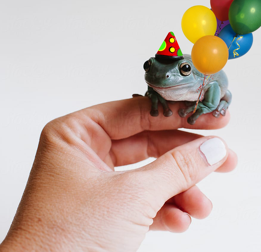 ☆ Morningstar ☆ on X: "Just made a birthday frog meme https://t.co/XtAh7kggCs" / X