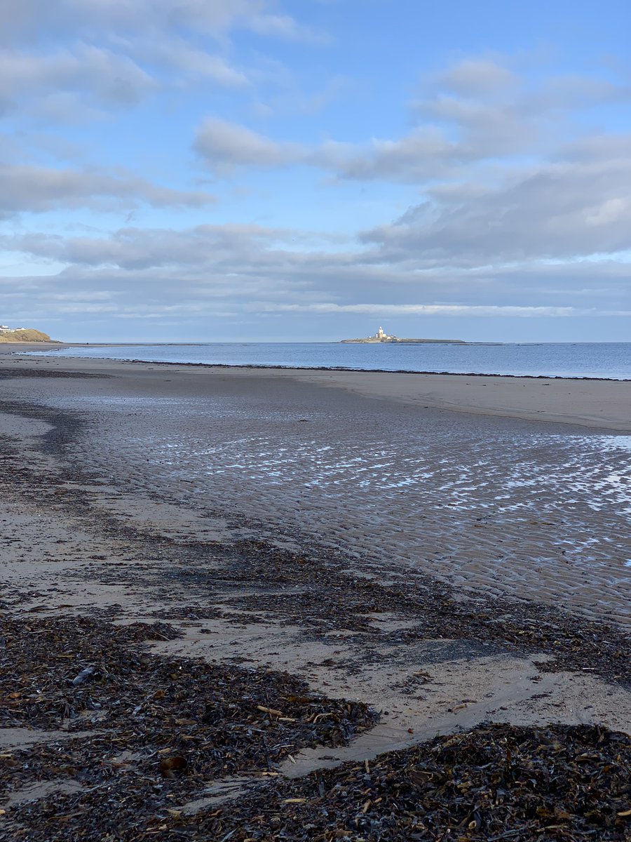 Coquet Island looking radiant from Hauxley beach this morning!