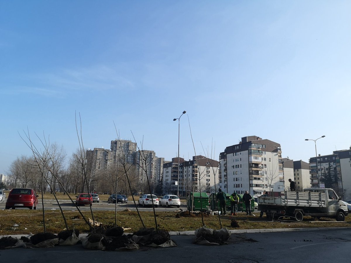 blokovi's tweet photo. Zelenilo danas sadi novi drvored u Mileve Marić Ajnštajn 👏 https://t.co/XfKQbMzjW5