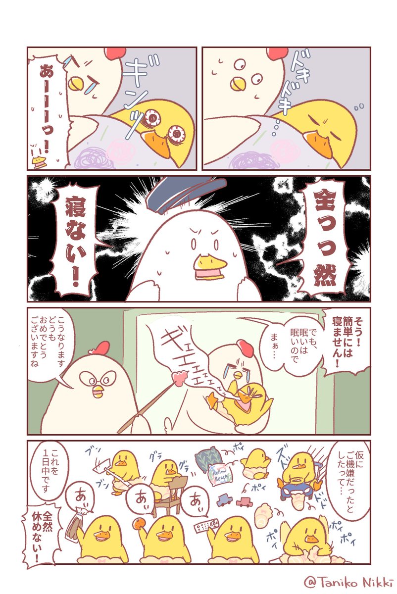 続きですぞ ぃ 鶏さんのたのしい育児教室 鳥谷丁子 書籍発売中の漫画