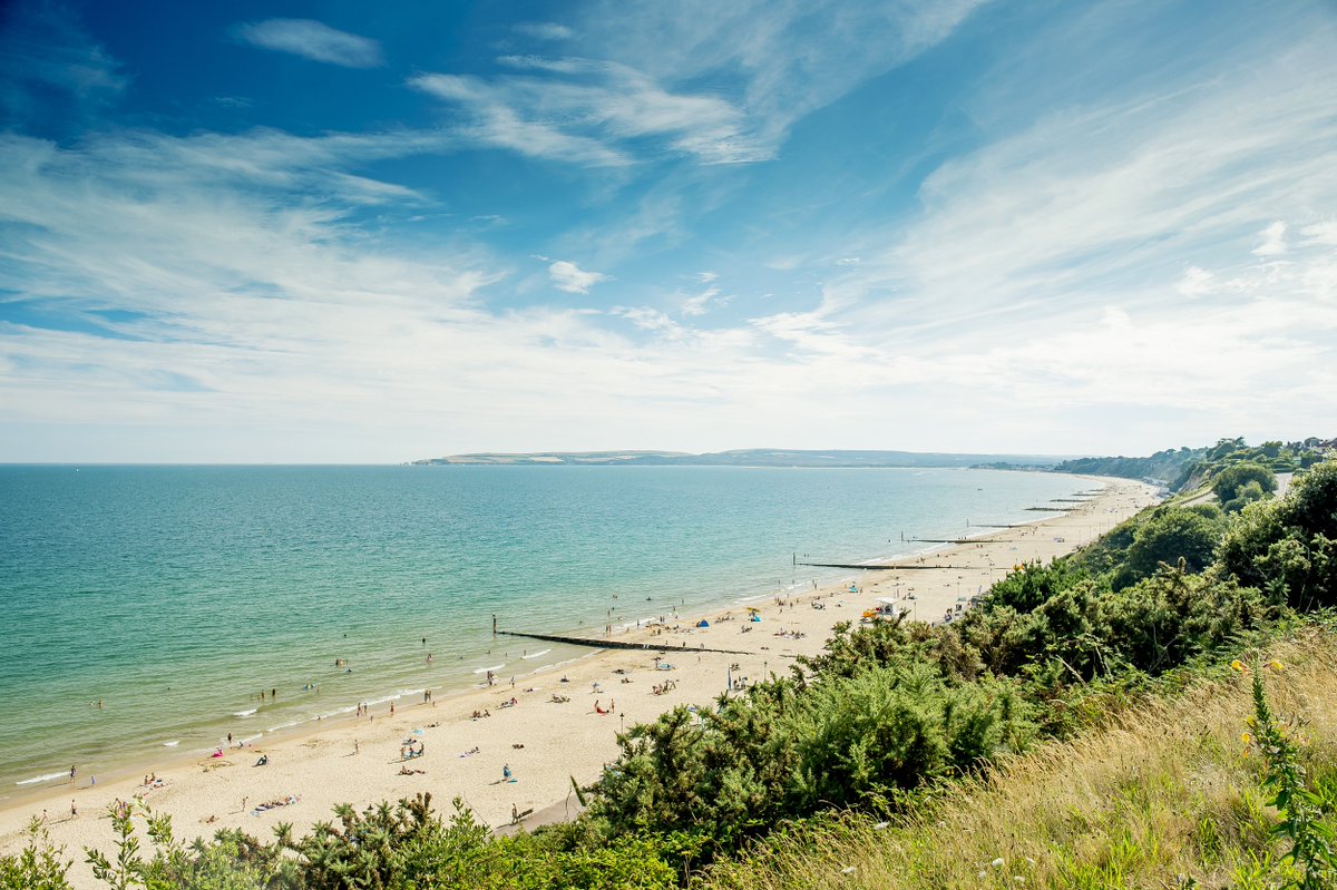 Love Bournemouth tweet media