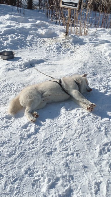 Twitterのコスプレ画像8