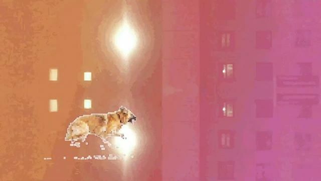 mitchellmuseum's tweet image. A new Mitchell Museum... dog. #samedog #comebacktomorrow #music #newrelease #mitchellmuseum #scottishfictionrecords #scottishfiction #keeprunningdogdog ift.tt/2NNcHOv