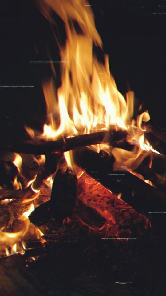 Shareefah🦋 (@shareef14844779) on Twitter photo 