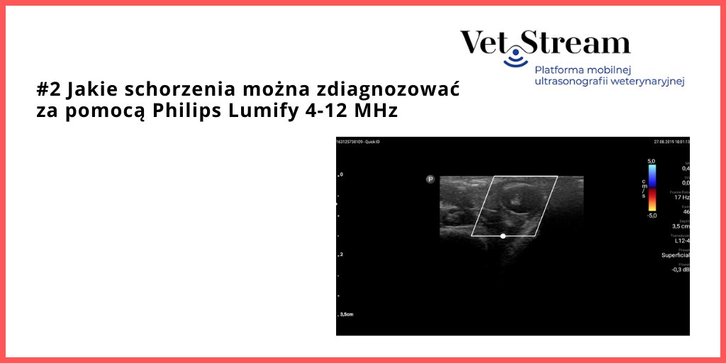 vetstream_pl's tweet photo. Podczas testów wystarczający do oceny był również obraz #tarczycy i okolicy #szyi u #psów, u #kota została zdiagnozowana zmiana ogniskowa w #śliniance.

Aby kupić mobilne #USG #Philips_Lumify 4-12 MHz prosimy o kontakt:
- bok@infostream.pl
- tel. 22 323 75 00 lub 512 70 60 70 https://t.co/MmvCGogAWY