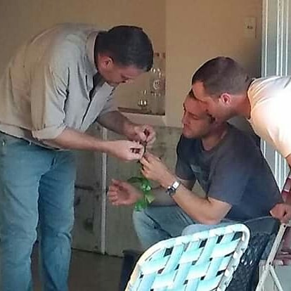 IntaChajari's tweet photo. Polilla enruladora de los brotes (Argyrotaenia sphaleropa) está ocasionando daños en los cítricos de nuestra zona. Charla con productores del @CambioRural_II citricola San Miguel. Ciclo, monitoreo, control fueron algunos de los temas tratados. @INTAConcordia @intaargentina https://t.co/rey4kBFLGP