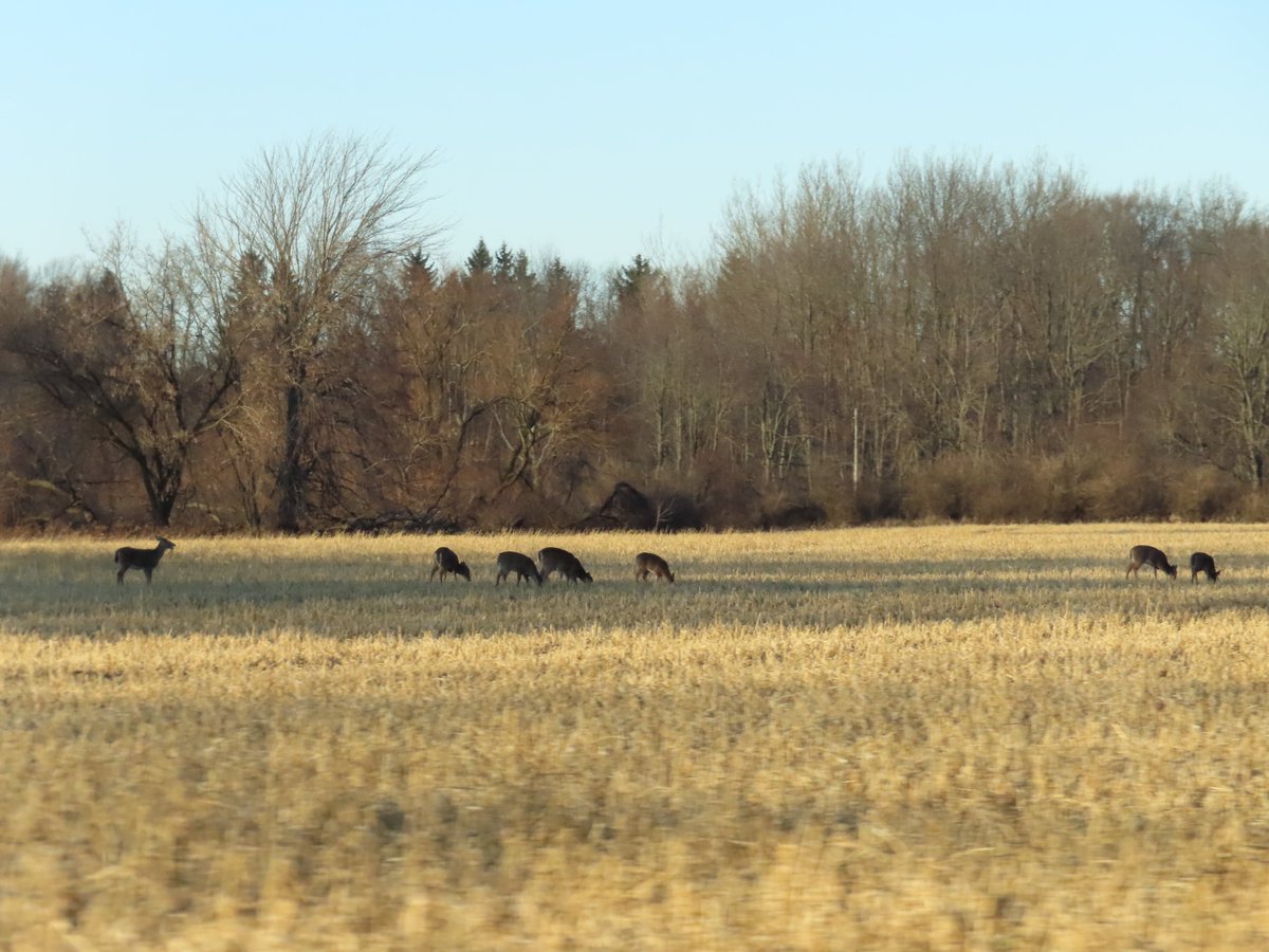 PLKlein_Author's tweet photo. "You can never have the same experience twice." ~ #FrankMcCourt #ThinkingOutLoud #QuickQuotes #ThursdayThoughts #ThursdayMotivation #SameExperience #Twice https://t.co/6CtTxnz9IF