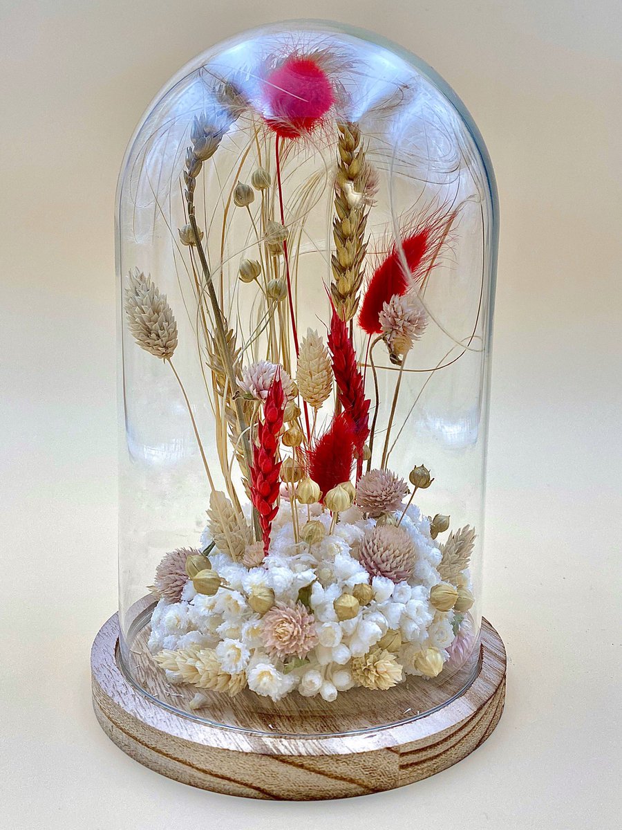 audaceflorale's tweet photo. Dites bonjour à letty notre cloche de fleurs séchées faite à la main dans notre atelier 😍 
Disponible en livraison 24h partout en France 🇫🇷 !
https://t.co/Kl5FfgMOgH

#audaceflorale #floralart #livraisonpartoutenfrance #floraldesign https://t.co/du9FKUBw3h