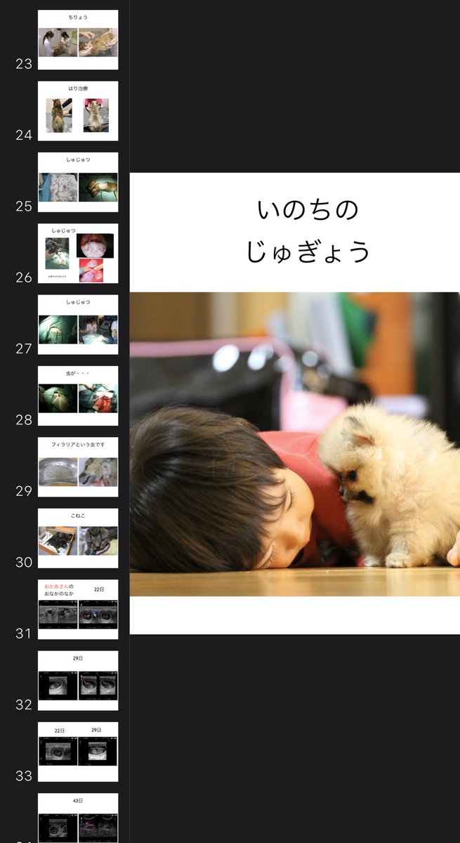 今日はお昼の時間にある小学校で「命の授業」と言うテーマで3年生の子供たちにお話をしてきました。学校に行って話をするのはもう何度目かなのですが、その都度資料がアップデートされ今回は110枚のスライドでしたがなんとか時間内に納めれました！何かを感じてくれたかなぁ。