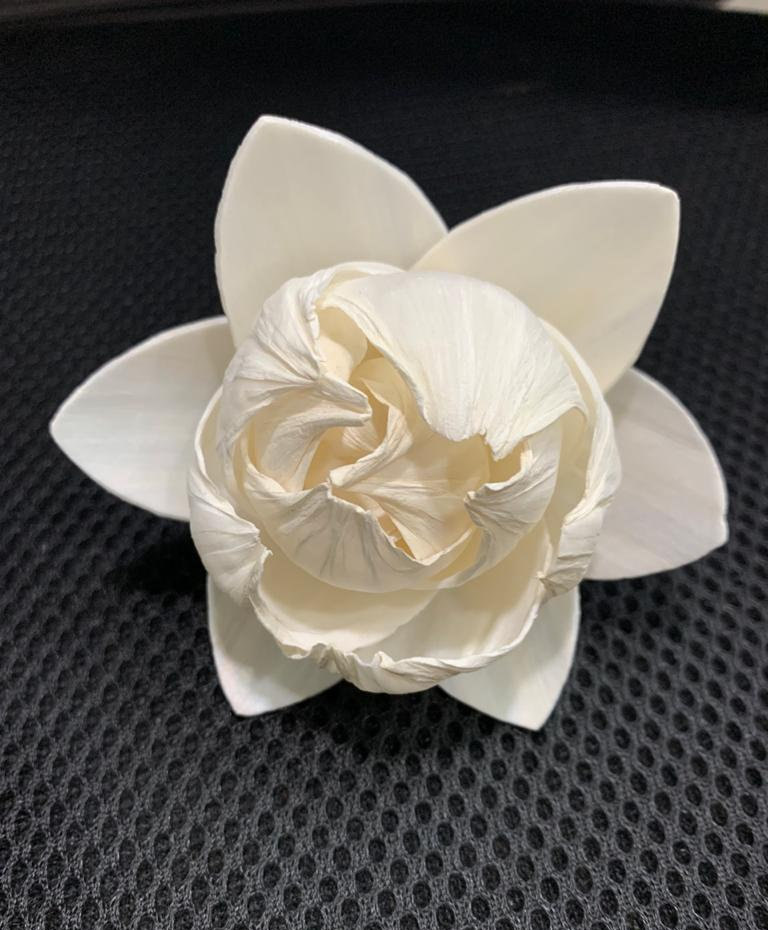 keenterprises's tweet photo. Excited to share the latest addition to my #etsy shop: Sola Wood Flower BURBERRY (For 500 flowers) - MOQ 10 in mixing quantity https://t.co/Qi8Kzk9YRP #weddings #bouquet #white #solaflower #woodflower #solawoodflower #dryflower #diffuserflower #tapiocaflower https://t.co/oQ9uX9InXo