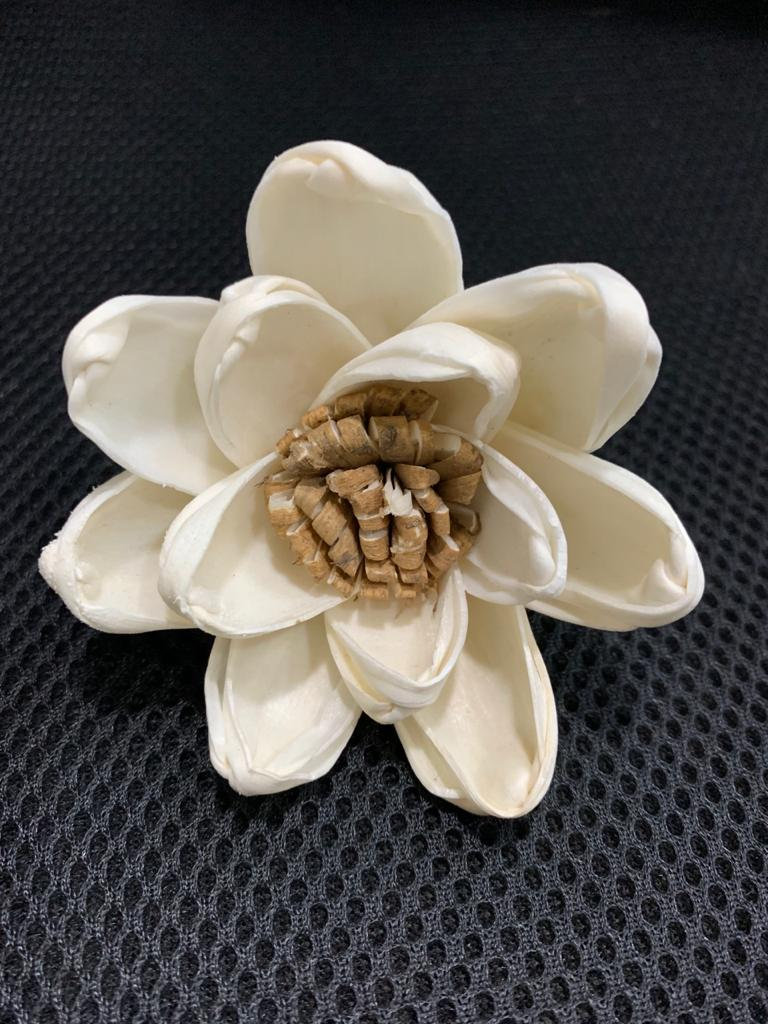 keenterprises's tweet photo. Excited to share the latest addition to my #etsy shop: Sola Wood Flower middle SKIN CASPIEL (For 500 flowers) - MOQ 10 in mixing quantity https://t.co/2ZDsyUS0bL #weddings #bouquet #white #solaflower #woodflower #solawoodflower #tapiocaflower #balsawoodflower #dryflowe https://t.co/ASbe7vn372