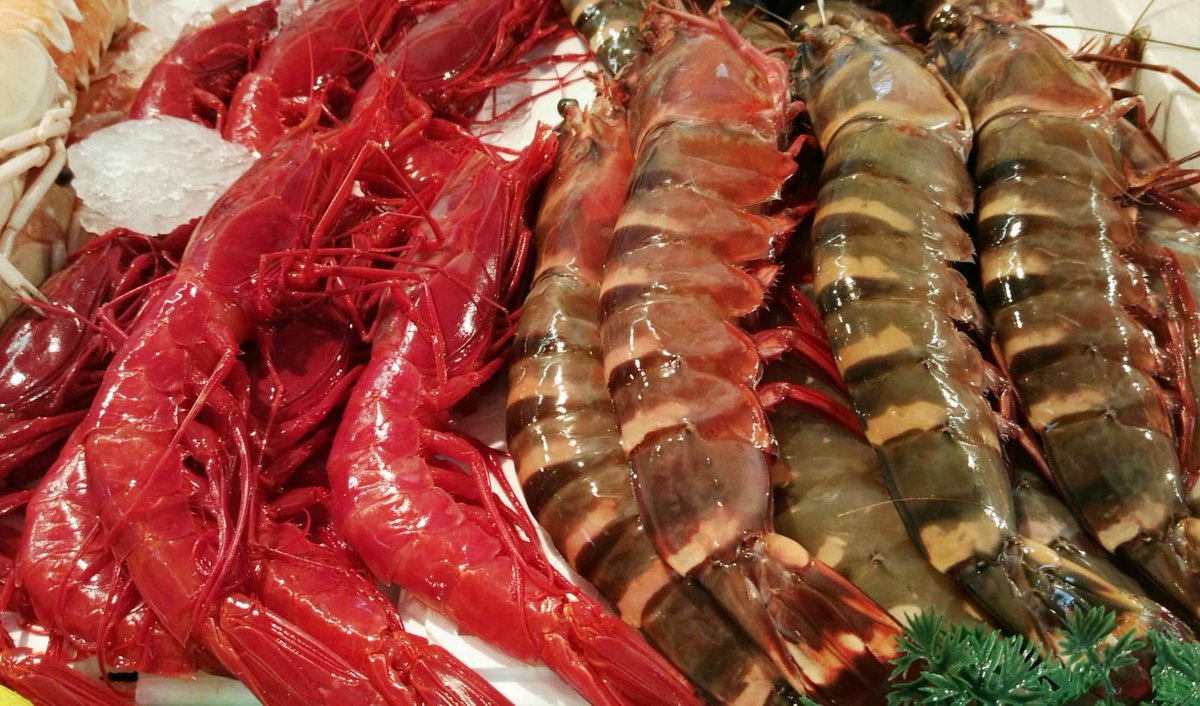 Mercado de Abastos de Ayamonte tweet media