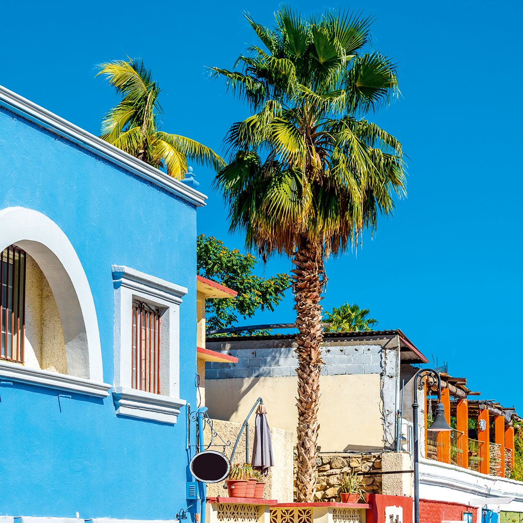 TUIUK's tweet image. In San Jose del Cabo, it doesn’t get much more active than morning coffees in the Crayola-coloured plaza, and searching for hummingbirds in the nature reserve ☀️ #TUITalks