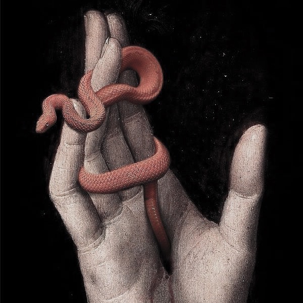 jncetaylor's tweet photo. The human moral experience can be complicated, difficult, painful, and treacherous. From an evolutionary perspective, this is partly because our minds evolved to be highly sensitive to betrayal in small-scale contexts. As Julius Caesar found out the hard way, betrayal can be… https://t.co/UPKfTPaSfB