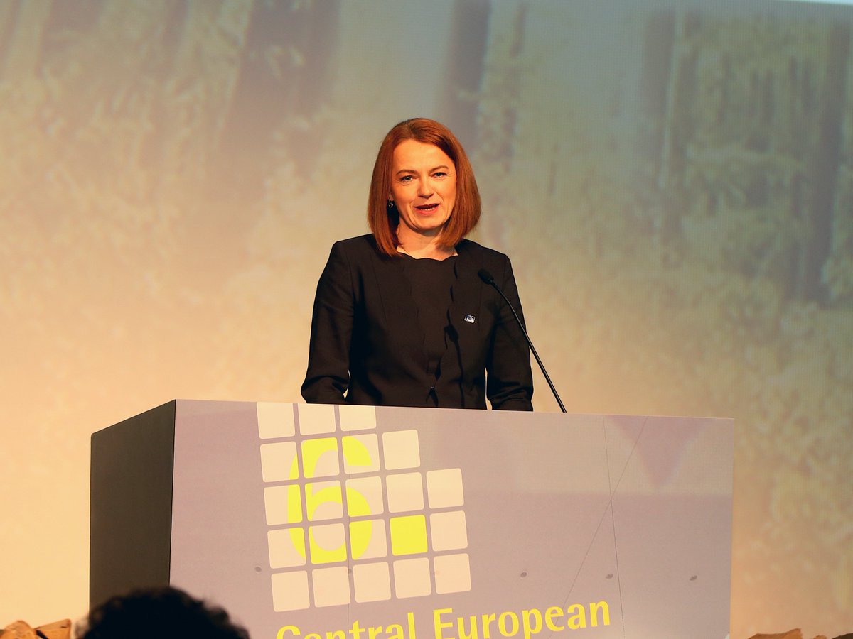 BioenergyIntl's tweet photo. Austria: The opening plenary for @oebmv #CEBC2020 in Graz focused on #ClimateChange, #bioenergy, #wood & the role of #sustainable #forest management w/ moderator Ingemar Höbarth, Klima & Energifonds; Simone Schmiedtbauer, MEP; Siegfried Nagl, Mayor of Graz & @HTuohi @bioenergyEU https://t.co/X3Ko1aTAfY