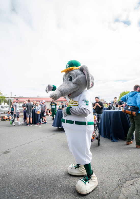 oakrunco's tweet photo. RT if you love #OakRunCo as the @athletics do! ❤️ https://t.co/6bq2LIMjxq