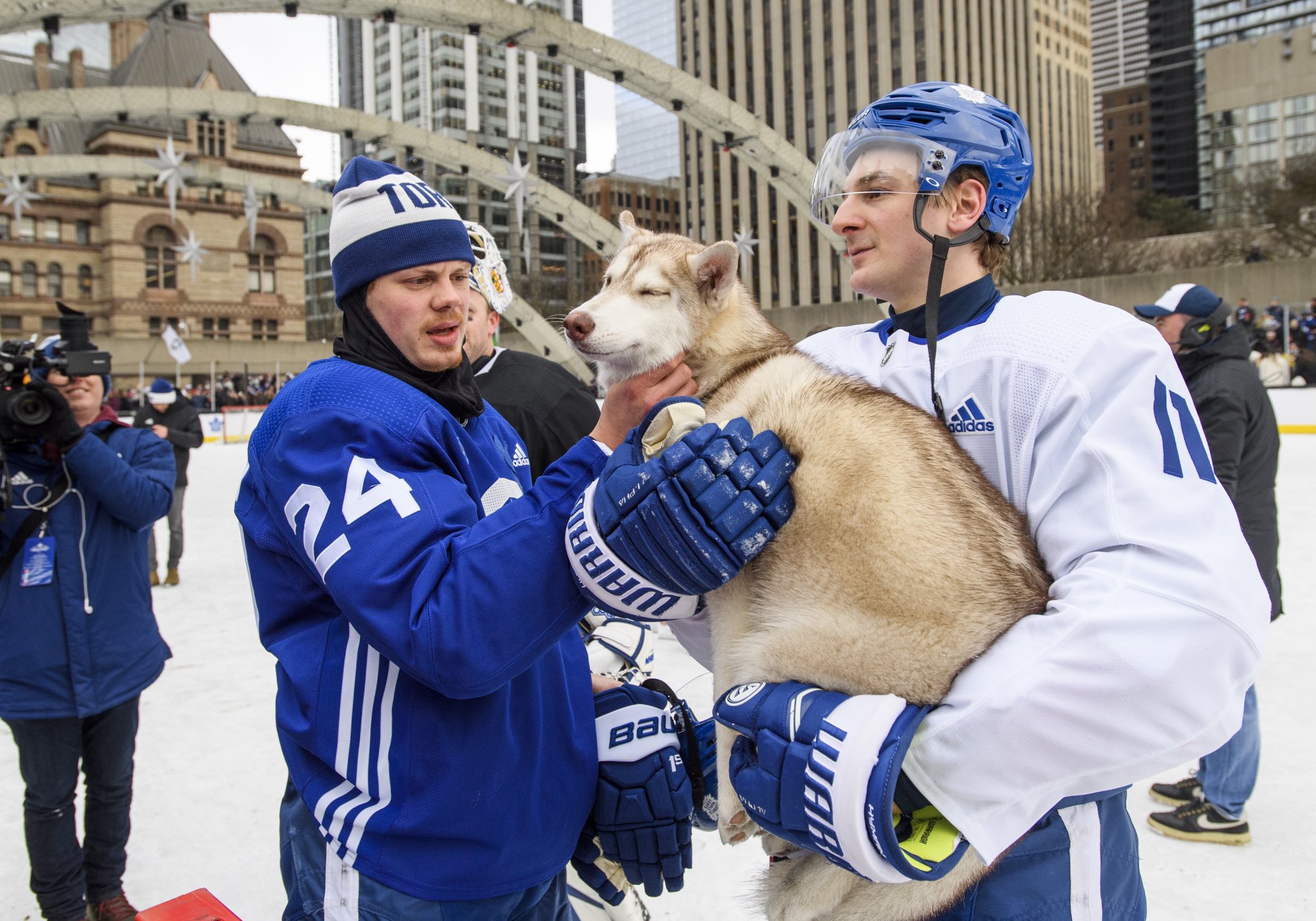 Toronto Maple Leafs on X: A Saturday night without a Leafs game? 😞 Guess  these are the dog days of winter 🐶 #LeafsForever   / X