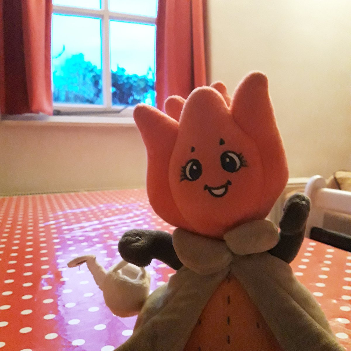 Only one day before the #trendz starts, for a good night I will spend it in a #bandb in #heukelum ; #appeltjeeitje 
⚘🌷⚘
#globetrotter #tulip #tulips #dutch #Holland #flowergirl #tulipfestival #kids #book #books #plush #plushies #gift #travel #wanderlust #souvenirs #tourist