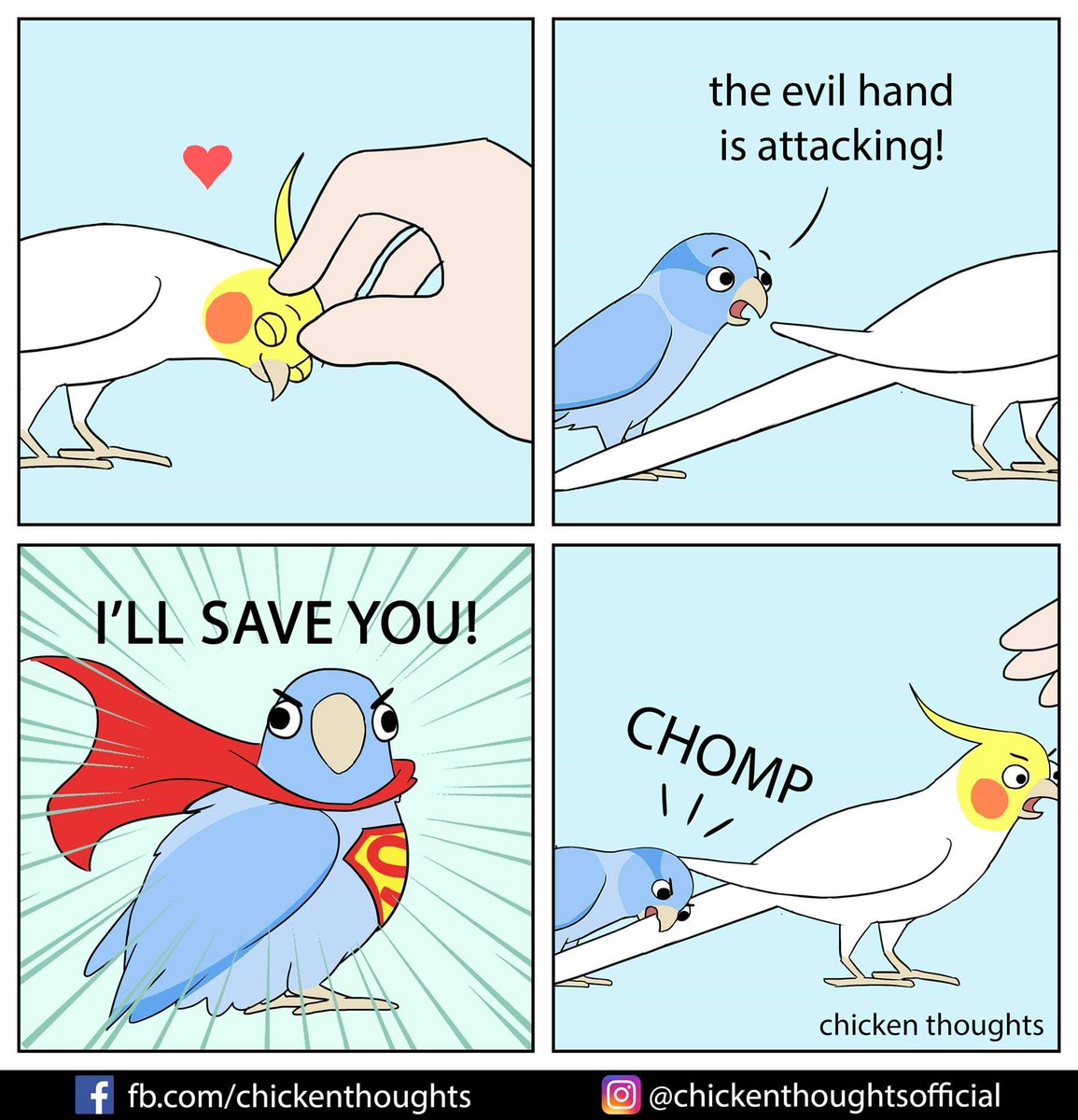 Bird logic 