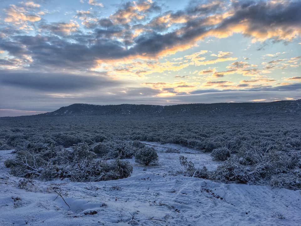 CityOfAbilene's tweet photo. Snow day 😍 ❄️
#abilenetx #cityofabilene #visitabilene #snowday #sunrise #bigcountry
📸: City Secretary Shawna Atkinson 😉 https://t.co/tTlT9v9yDw