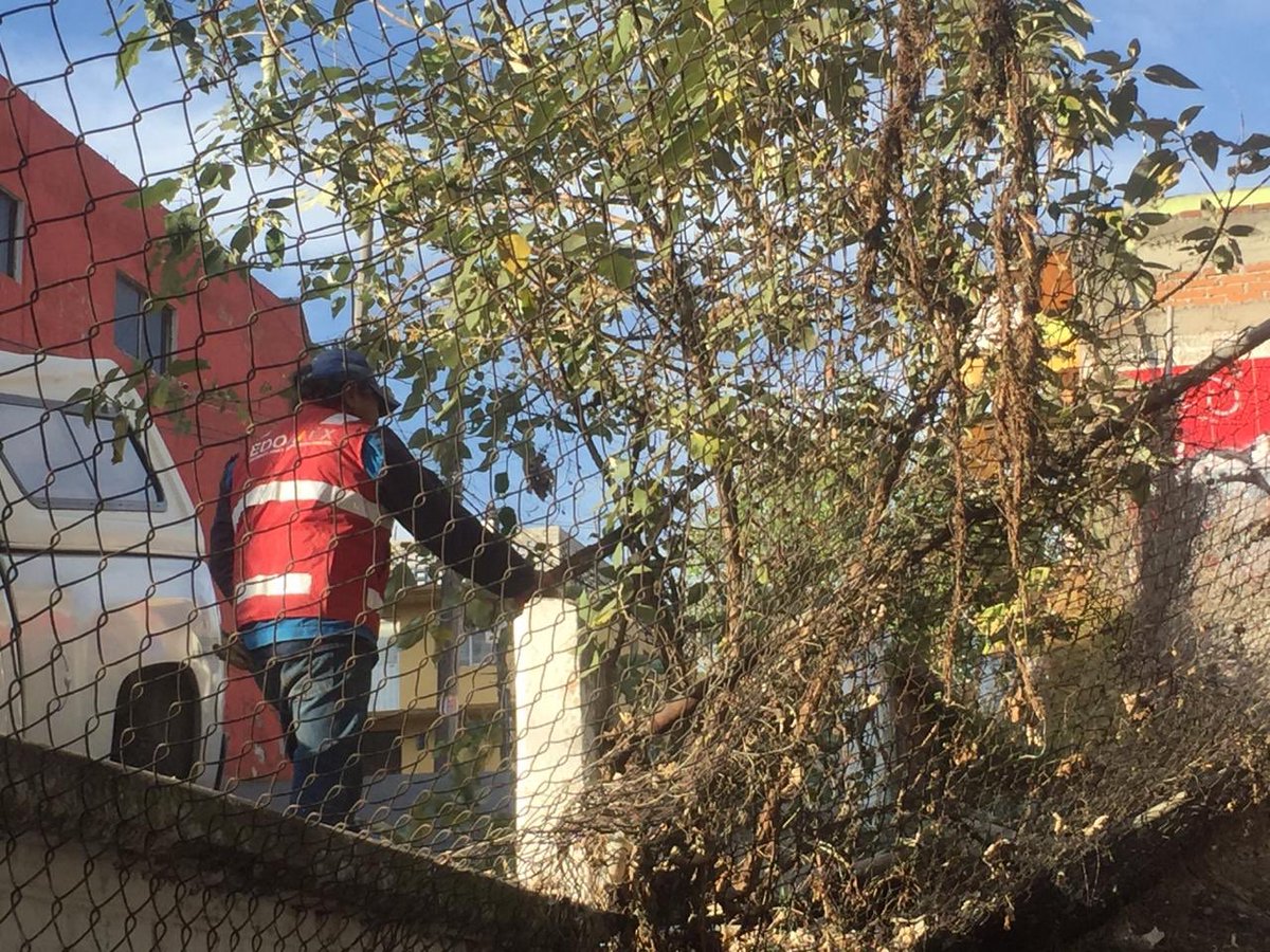 Maribel_CG17's tweet photo. Nuestra Policía y habitantes de #LomasDelParque estamos pintando, limpiando, podando la maleza y dando mantenimiento a las canchas, para las familias de #Tultitlán. #ViveTuComunidad https://t.co/W4dseR204G