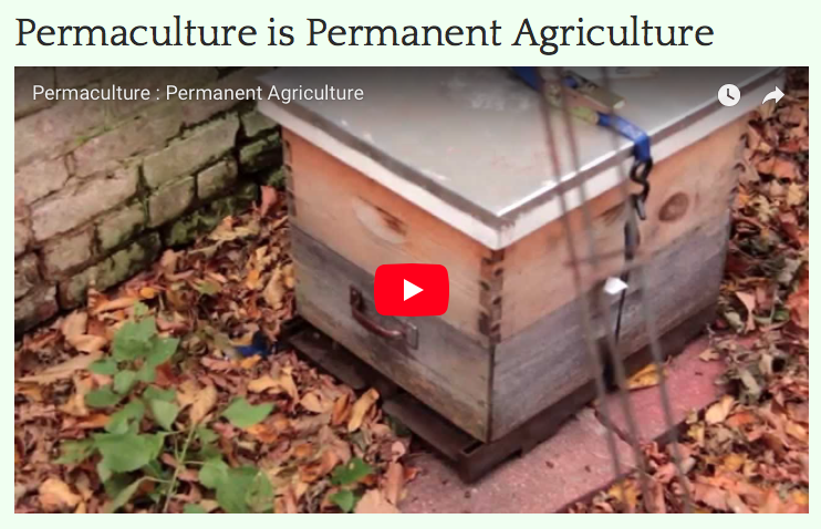 permaculturereg's tweet photo. Video: Permaculture is Permanent Agriculture >>> https://t.co/d0GT7z6Sjw #UrbanPermaculture #PermacultureDesign #Permaculture #PermacultureVideo #WhatIsPermaculture https://t.co/6jj0sKazos