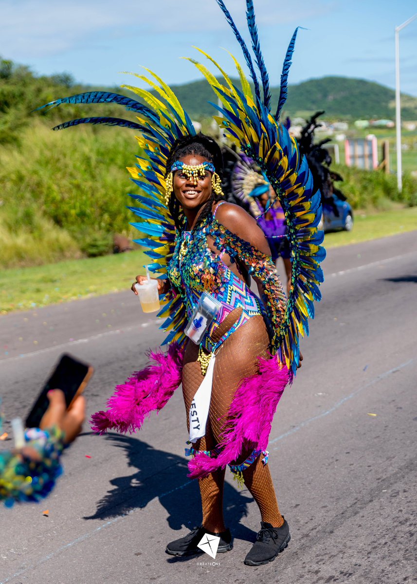 MajestyCarnival tweet media