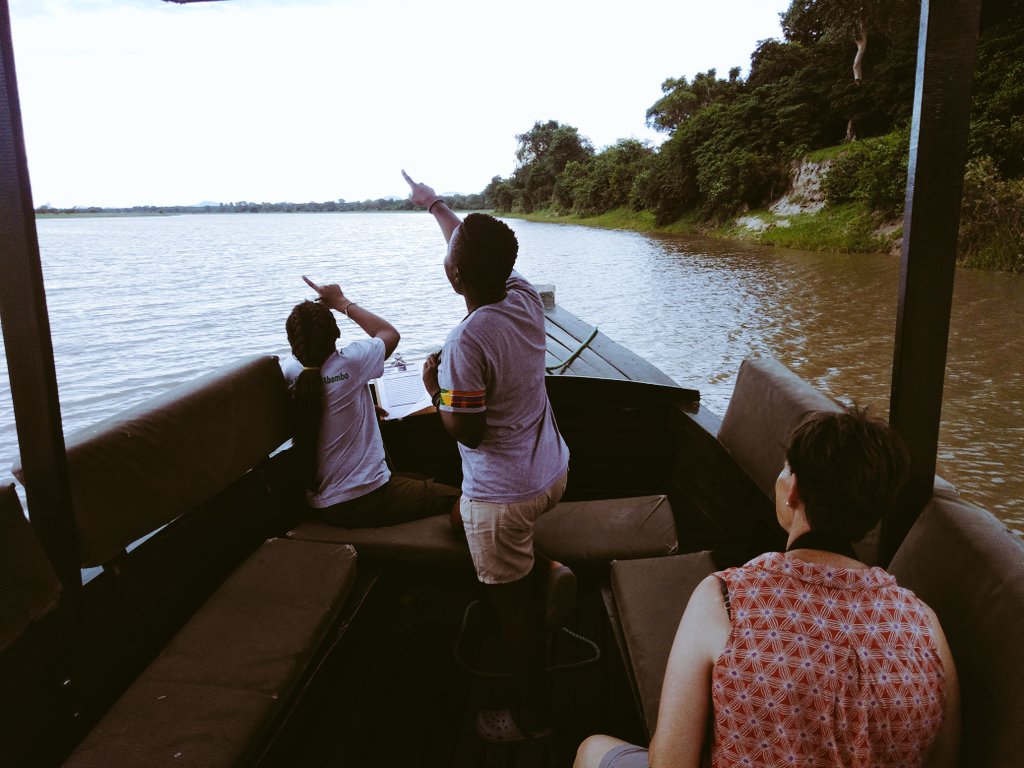 Miss_Timon's tweet photo. Wetlands annual bird count Malawi, #ShireRiver #CawsMw @ak_thee_hare https://t.co/aa9ZqcDNoA