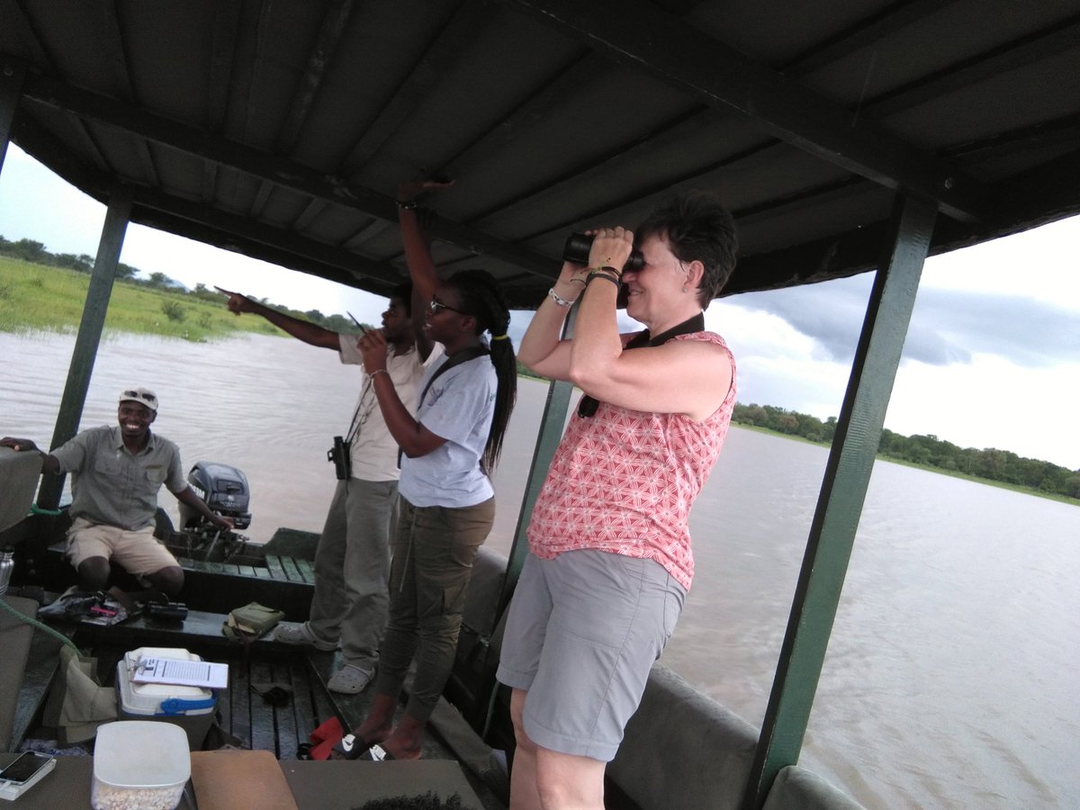Miss_Timon's tweet photo. Wetlands annual bird count Malawi, #ShireRiver #CawsMw @ak_thee_hare https://t.co/aa9ZqcDNoA