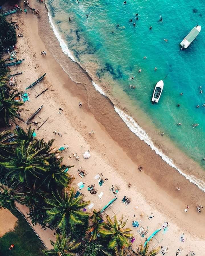 GoLankaGO's tweet photo. 世界最高のビーチ... 🏖 🏝 
Hikkaduwa Beach!
ヒッカドゥワビーチ!

#SriLanka #Beach #beachlife #hikkaduwa #ocean #travel #japan https://t.co/YC0sD8oAk3