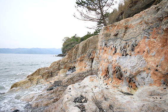 日本最大規模のリチウムペグマタイトの露頭 岩手県三陸海岸 大船渡市越
