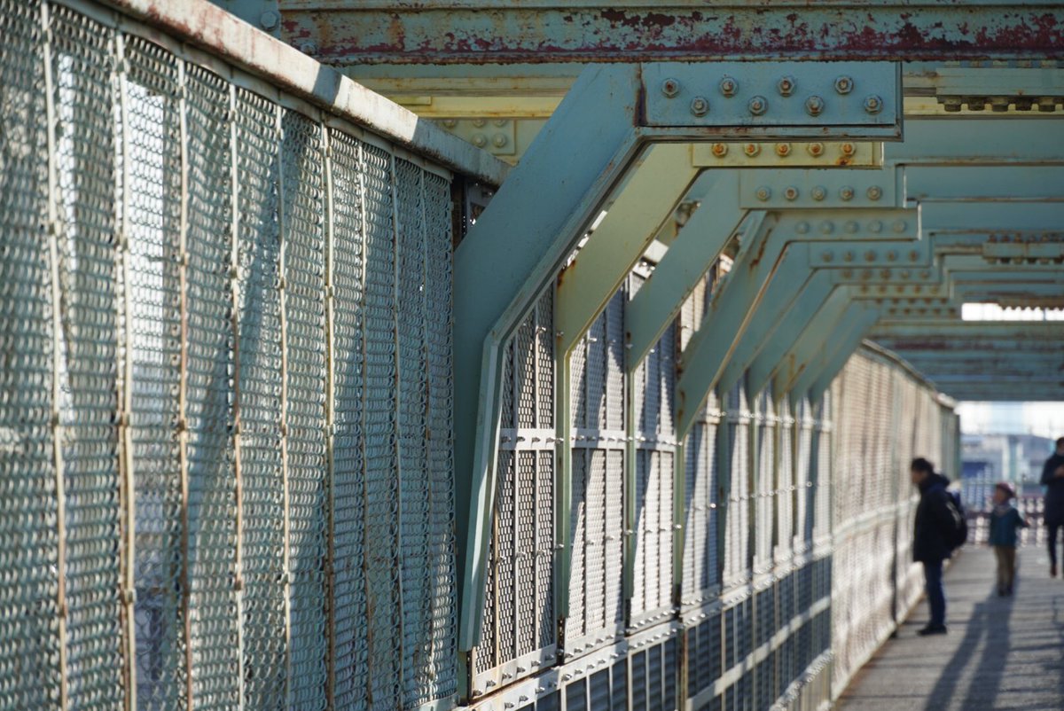 キタロー On Twitter 東京お散歩教室で三鷹散歩 太宰治が好きだった電車庫跨線橋などゆかりの地を巡り 中央通り商店街を経て 入水した地に至る 一月と思えない暖かい日で 梅の花が咲いていた