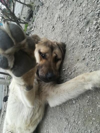 malasedef's tweet photo. Uyandığımda yanıma bakınca şu manzarayı görmek istiyorum https://t.co/4Va7ewpZ5Y