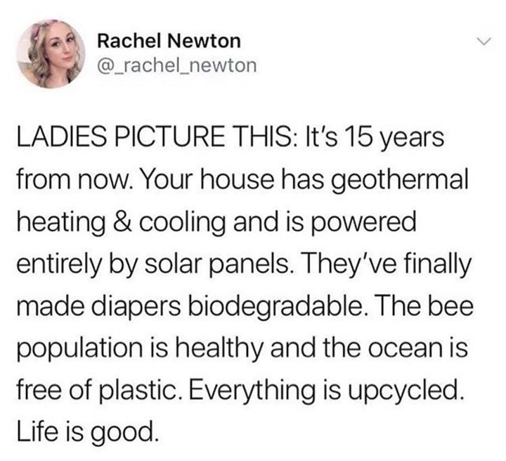 Bamboo Herb tweet media