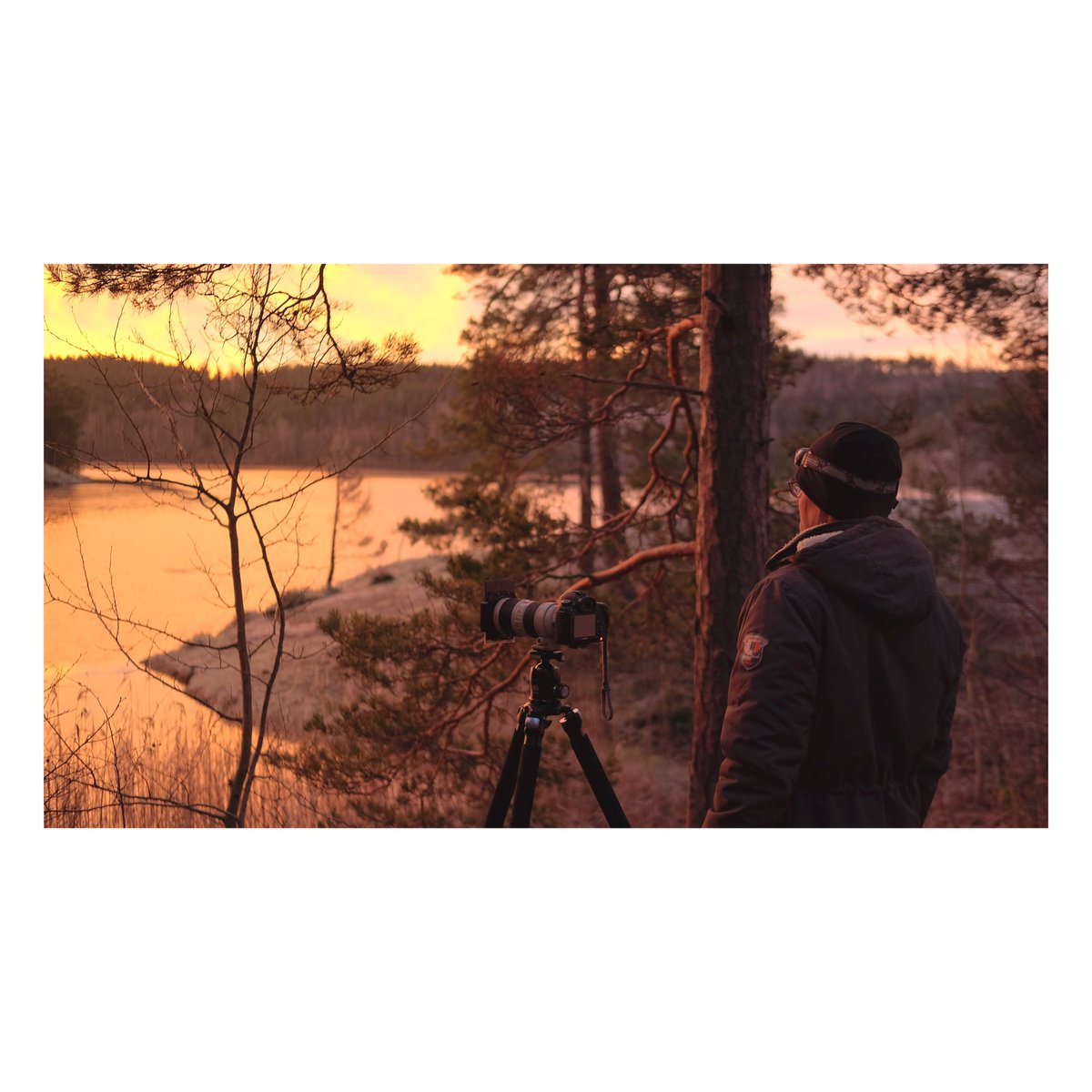 wardhoff's tweet image. I was out and about this morning with my tog mates.
We got a few keepers.
#documentphotography #NaturePhotography #explore #more