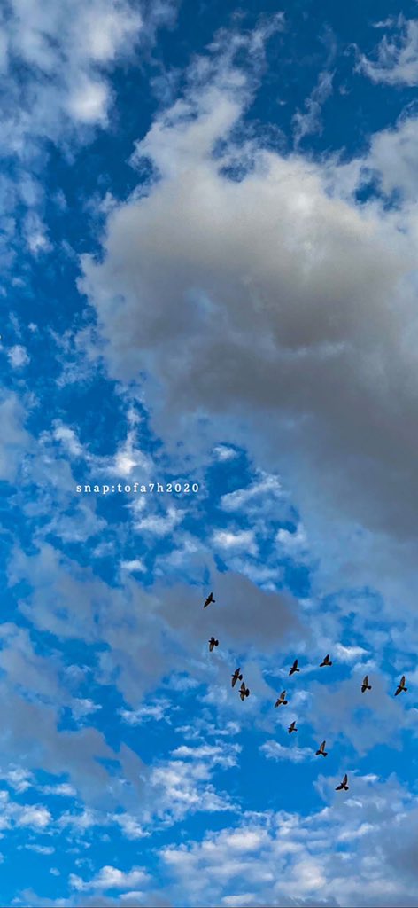 Gladness_7's tweet photo. غيوم .. ☁️ https://t.co/3mv373lndN