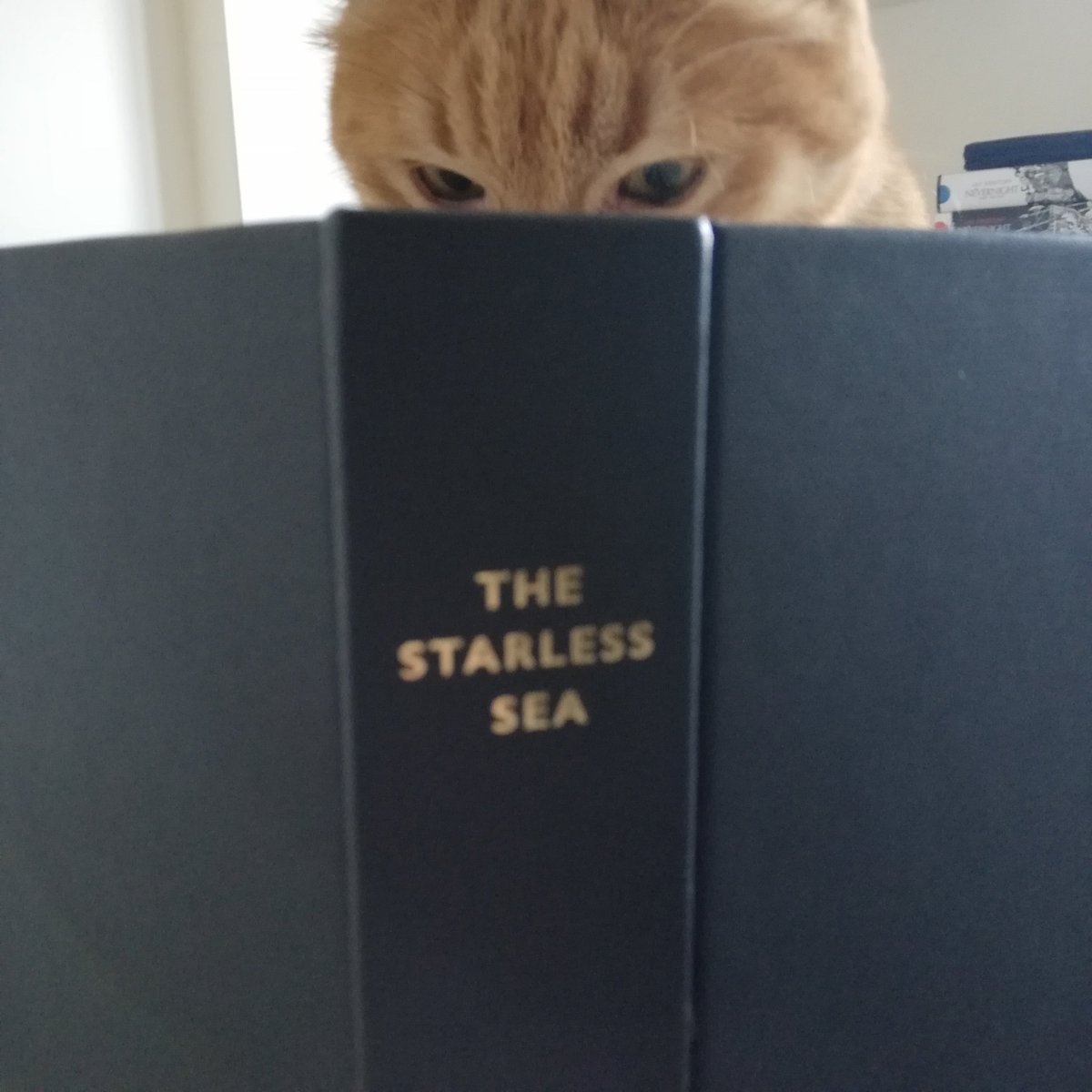 paiawon's tweet image. please turn these into a meme