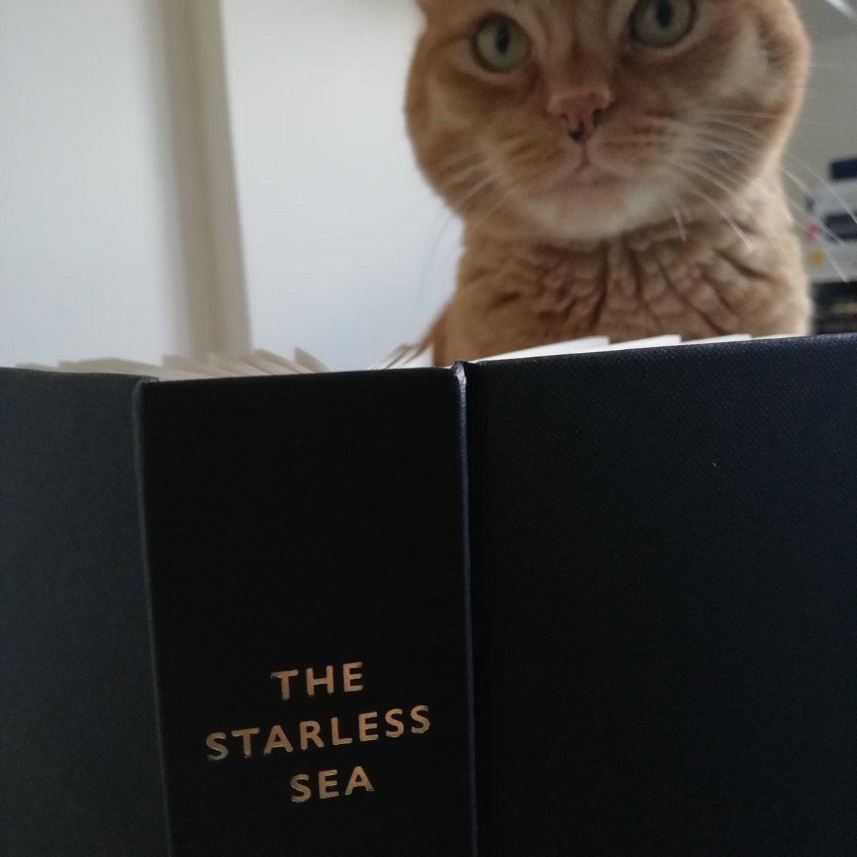 paiawon's tweet image. please turn these into a meme