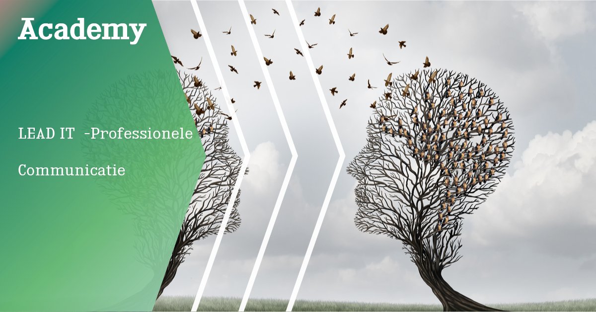 Het doel van deze intensieve en interactieve workshop  is het efficiënter en effectiever maken van jouw professionele communicatie. Nieuwsgierig? Lees meer: bit.ly/2Fz0Fnf