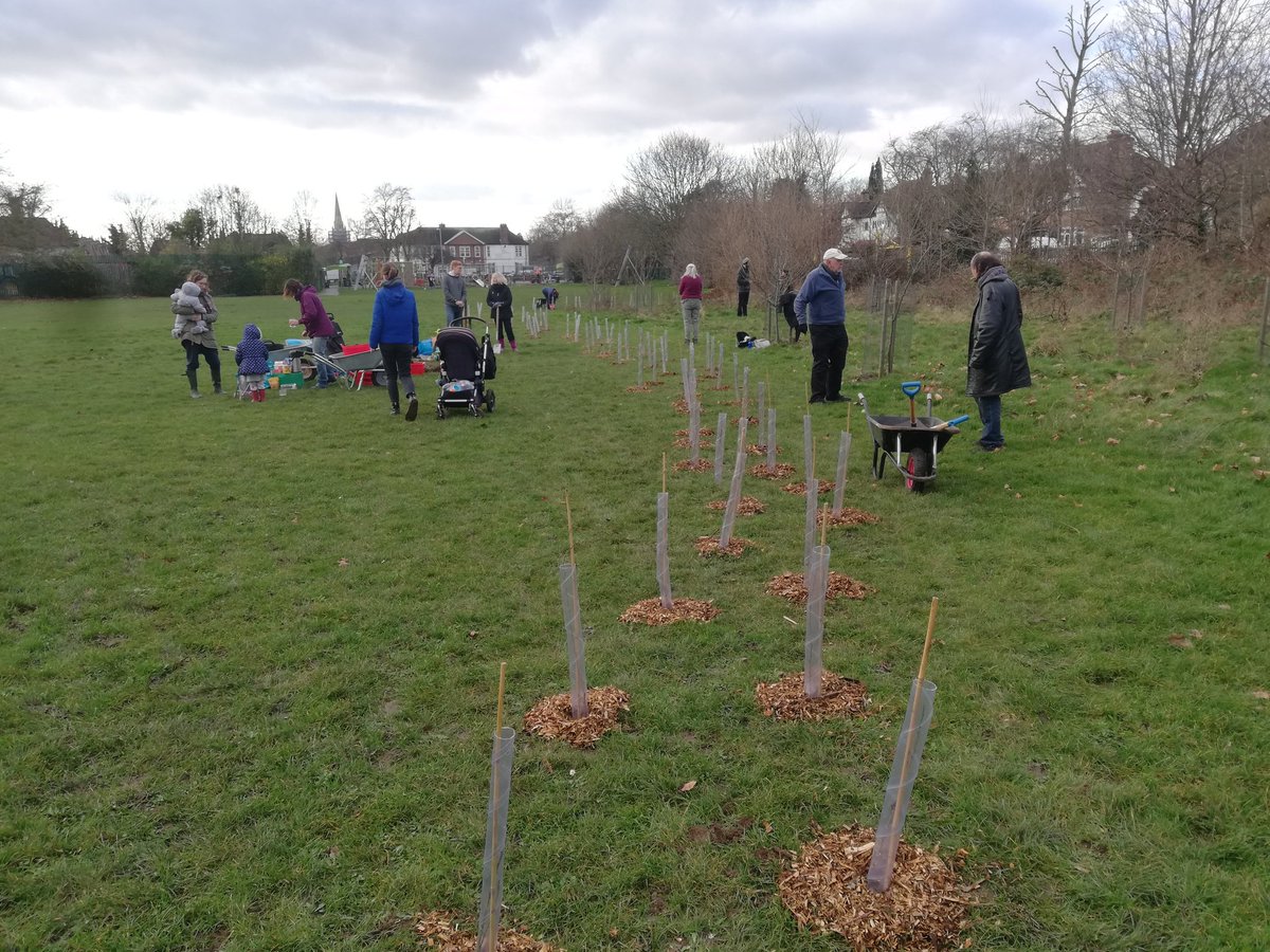 SHEDx_org's tweet photo. Great way to start the year planting sapling trees from @WoodlandTrust & @TCVtweets with @KingstonEco1, @KingstonXR, @CitizenZoo, @alison_fure, @idverde_GDT and friends in the sunshine yesterday ๐๐ฑ๐ณ @LordScroley @communitybrain @RBKingston #tolworth #tolworthmatters https://t.co/bcBKXZfITR