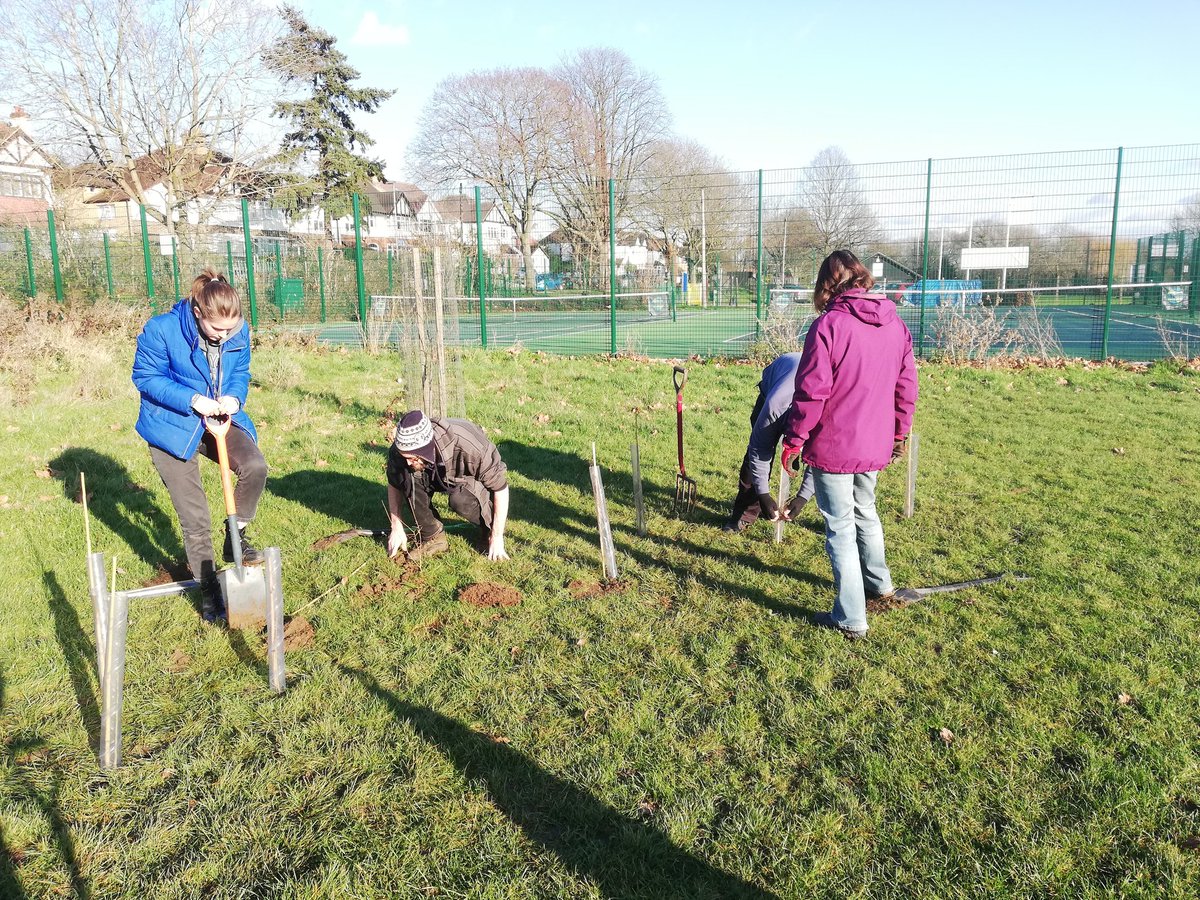 SHEDx_org's tweet photo. Great way to start the year planting sapling trees from @WoodlandTrust & @TCVtweets with @KingstonEco1, @KingstonXR, @CitizenZoo, @alison_fure, @idverde_GDT and friends in the sunshine yesterday ๐๐ฑ๐ณ @LordScroley @communitybrain @RBKingston #tolworth #tolworthmatters https://t.co/bcBKXZfITR