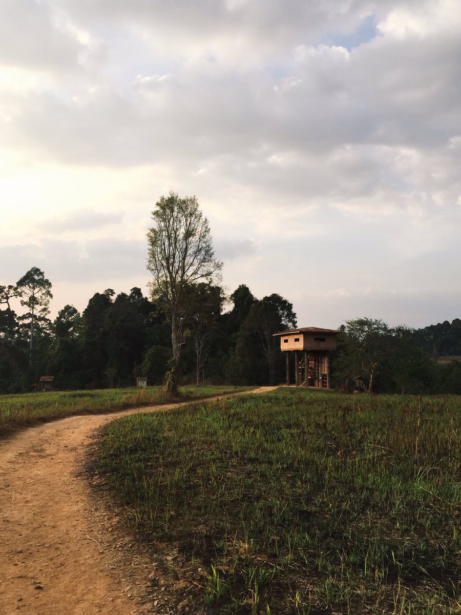 hiddenthread_'s tweet photo. Khaoyai National Park. https://t.co/VyLAv8TZ7Q