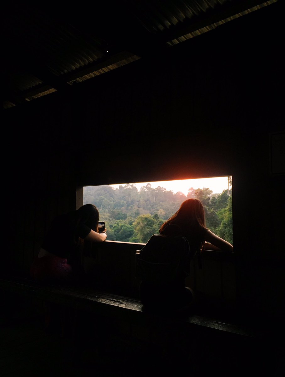 hiddenthread_'s tweet photo. Khaoyai National Park. https://t.co/VyLAv8TZ7Q