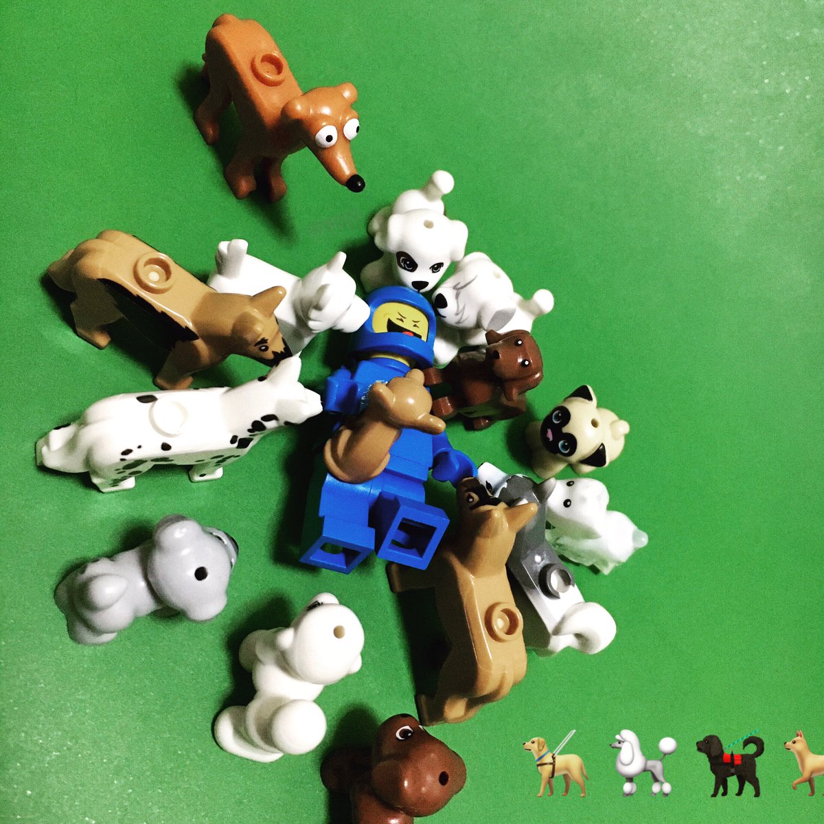 BuNinayBricks's tweet photo. puppies... puppies... PUUUUPPPPIIIEEESSSSS!!!
#BuNinayBricks #LEGO #bennyTheSpaceman #dachshund #doggo #puppies #puppiesofinstagram #poodle #germanshepherd #westieterrier #greyhound #AFOL #phlug #brickgeekz #pinoylug #bricknetwork https://t.co/z5ofyjytpN