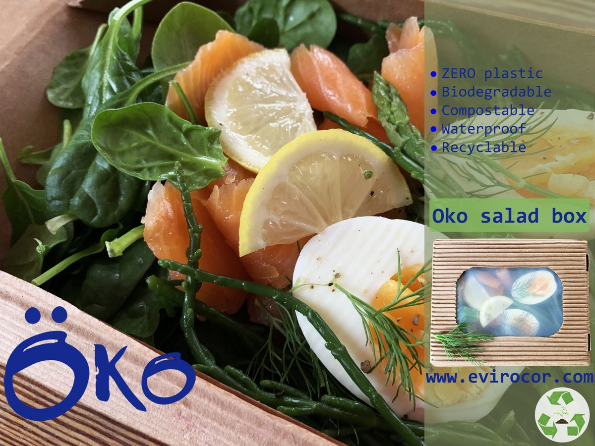 Evirocor's tweet photo. Helping our planet with our ZERO PLASTIC Oko salad box. See our sustainable food packaging https://t.co/UGKXsnf7Hw  #innovation #plasticfree #sustainabledesign #packaging #energyconsumption #delivery #carbonneutral #sustainability #ecofriendly #climatechange #zerowaste #future https://t.co/godW8P550x