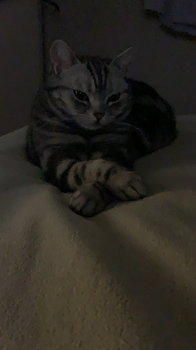 Katherine Tmej tweet media