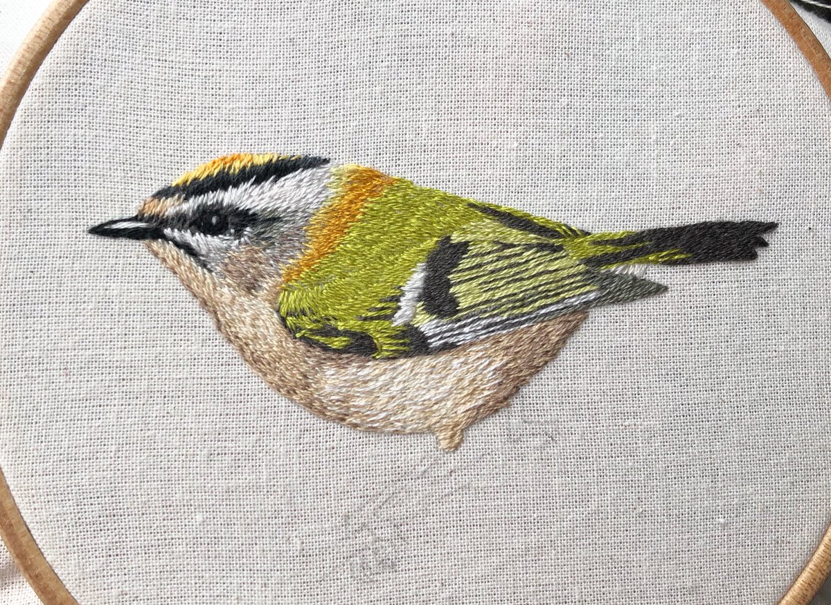 The firecrest now has its full suite of feathery parts. Now I “just” have to give it some feet and legs and something to perch on - probably a pine twig. Might also make its crest a bit more fiery... 🔥 #needlepainting #embroidery